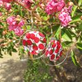 MOP printed Puck-shaped bead 20mm Star red x1