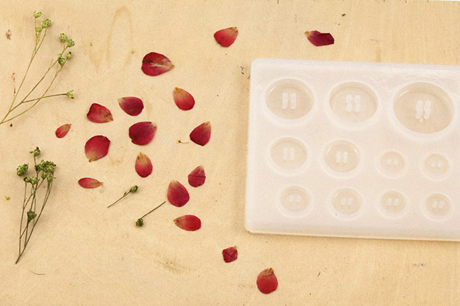 Preparation of resin and plants Préparation de la résine et des végétaux