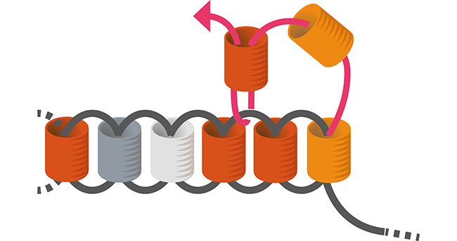 Earrings woven lozenge beads Miyuki brick stitch step 5 Boucles d'oreilles tissées losange en perles Miyuki brick stitch étape 5