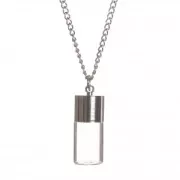Silver Tone necklace with glass pendant to fill 25x10 mm - Bottle x1