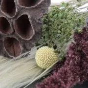 Dried lavender phalaris flowers for DIY creation x10 stalks