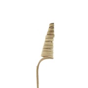 Natural Cane Cone - Dried flower for DIY creations x1 stalk