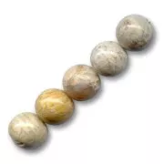 Beads Coral - Fossil