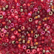 Mix Miyuki Seed beads 11/0 MIX-27 - Magma x8gr