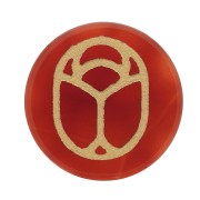20mm Round flat cabochon - beetle - by Perles&Co - Carnelian - Gold x1