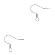 304 Stainless steel Earwires 17mm x6