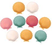 Jesmonite Kit - Shell x1