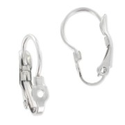 Drilled leverback earrings 16mm en Acier Inox x2