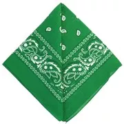 Green - Bandana 100% cotton - Cashmere pattern - Dark green x1 Bandana 100% cotton - Cashmere pattern - Dark green x1
