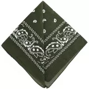 Bandana 100% cotton - Cashmere pattern - Khaki x1