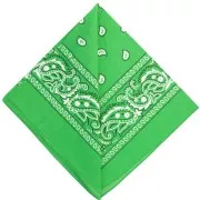 Green - Bandana 100% cotton - Cashmere pattern - Apple green x1 Bandana 100% cotton - Cashmere pattern - Apple green x1