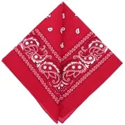 Red - Bandana 100% cotton - Cashmere pattern - Red x1 Bandana 100% cotton - Cashmere pattern - Red x1