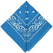 Turquoise - 100% cotton bandana - Cashmere pattern - Turquoise x1 100% cotton bandana - Cashmere pattern - Turquoise x1
