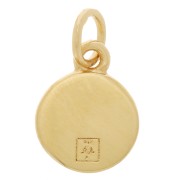 6mm Mini round charm - turtle pattern - closed ring - 3-micron gold-plated x1