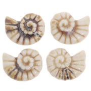 20x16mm Ceramic shell beads - Light brown x1