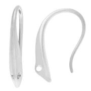Earrings hooks