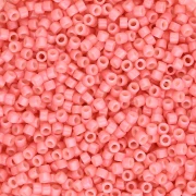 Miyuki wholesale packaging