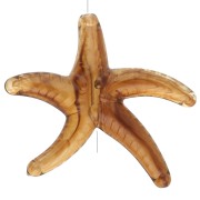 Acrylic starfish pearl 37x43 mm - Brown x1