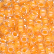 Miyuki 6/0 Seed Beads 1121 - Luminous Sun Glow x8g